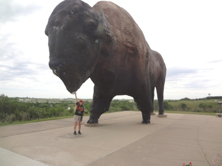 Karen Duquette and the World's Largest Buffalo